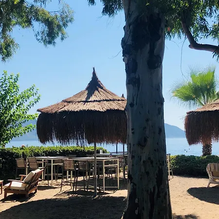 Tui Blue Grand Azur 5* マルマリス