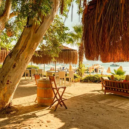 Szálloda Tui Blue Grand Azur 5*