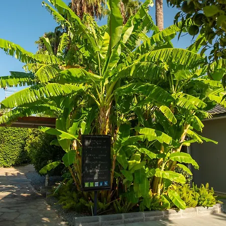 Tui Blue Grand Azur مرمريس